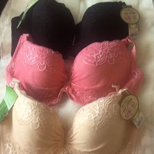 NWT bras